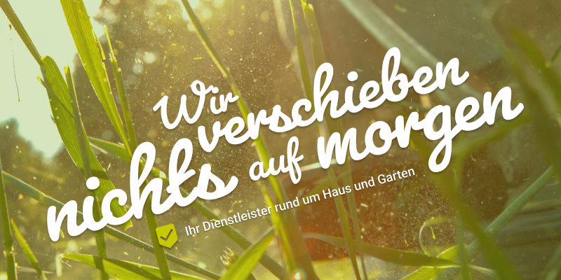 Gräser im Sonnenlicht mit einem typografischen Titelmotiv zum Thema Haus- und Gartendienstleistungen.